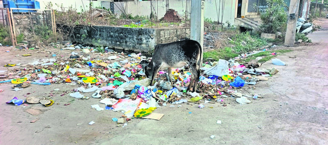 జోరుగా ఎన్నికల ప్రచారం 3