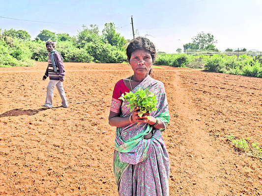 గుడిసెల్లో దుర్భర జీవితం 3