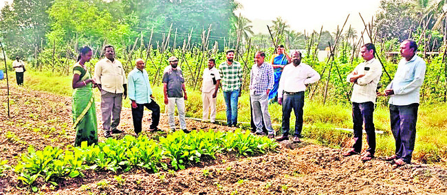 13న నవోదయ ప్రవేశపరీక్ష  1