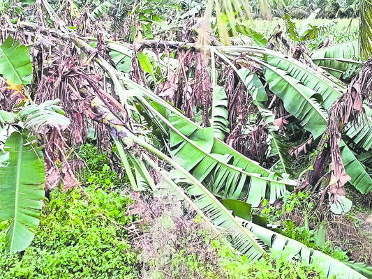 పరిహారం.. పరిహాసం1