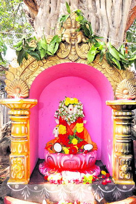 దత్తాత్రేయస్వామికి విశేషపూజలు 2