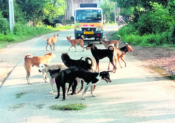 బోయినపల్లి.. సమస్యల లొల్లి1