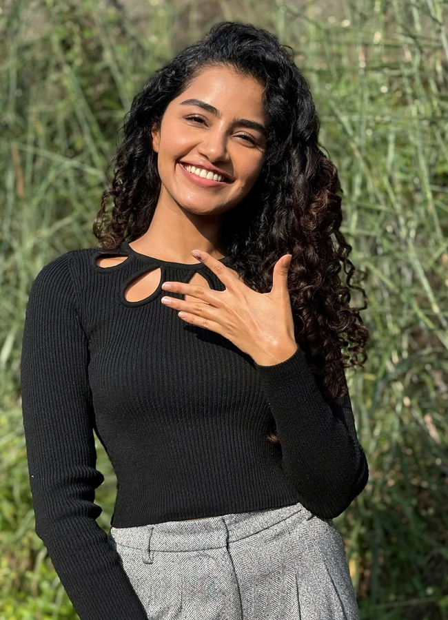 Anupama Parameswaran looks stunning in saree (photos)13