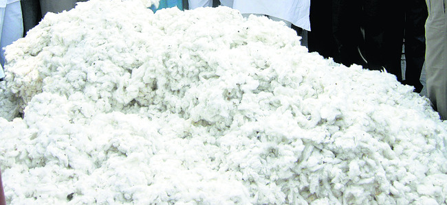 కరీంనగర్‌3