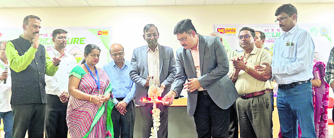 కంది పప్పు ధర తగ్గుముఖం 7