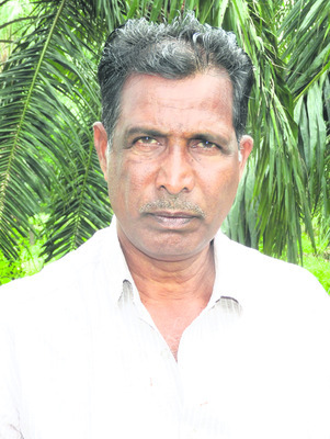 మెట్టలో అంతరిస్తున్న జీడి తోటలు 2