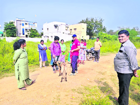 యువకుడి దారుణ హత్య 1