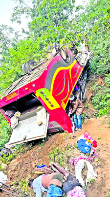 అరణ్యంలో ఆర్తనాదాలు2