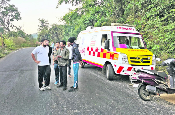 అరణ్యంలో ఆర్తనాదాలు3