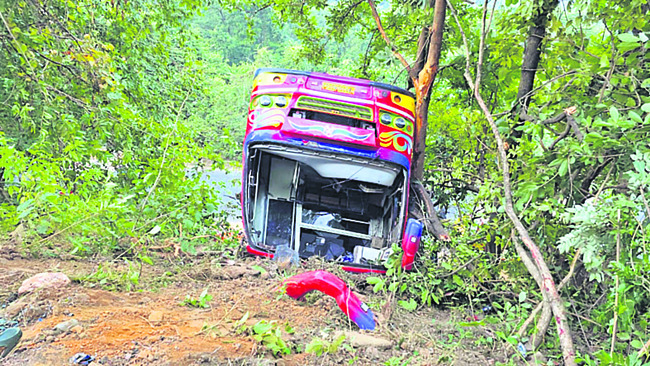 అరణ్యంలో ఆర్తనాదాలు6