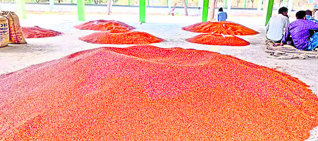 నేడు జాతీయ లోక్‌ అదాలత్‌ 1