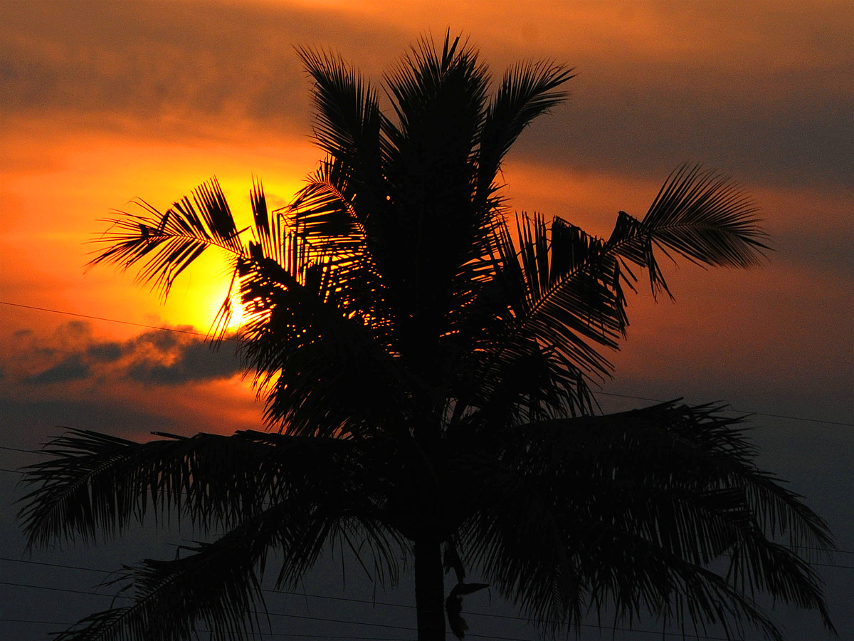 Best Photos of The Week in AP and Telangana Photo Gallery32