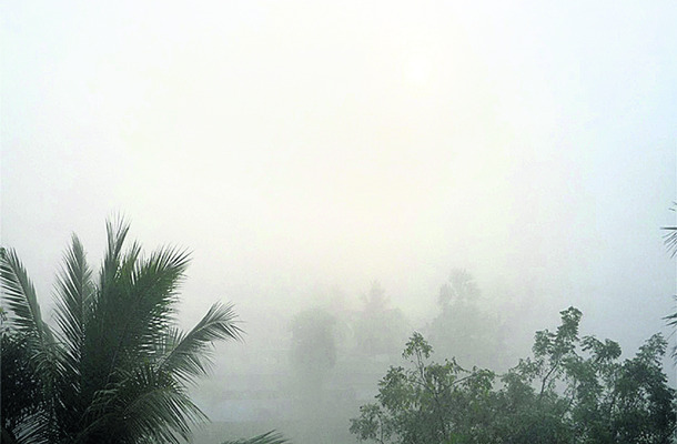 ●మంచు కురిసే వేళలో.. 1