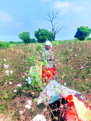 వంద రోజుల పనిదినాలు చేసిన కుటుంబాలు మండలాల వారీగా..2