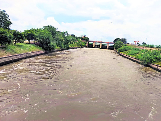 పింఛన్ల పంపిణీపై విచారణ 1