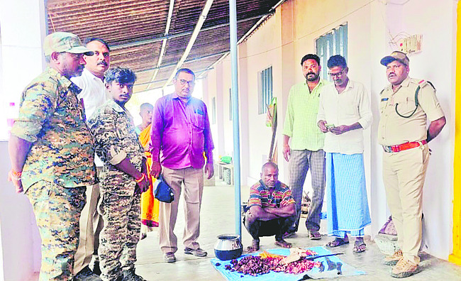 పది కిలోల అడవి పంది మాంసం స్వాధీనం 
1