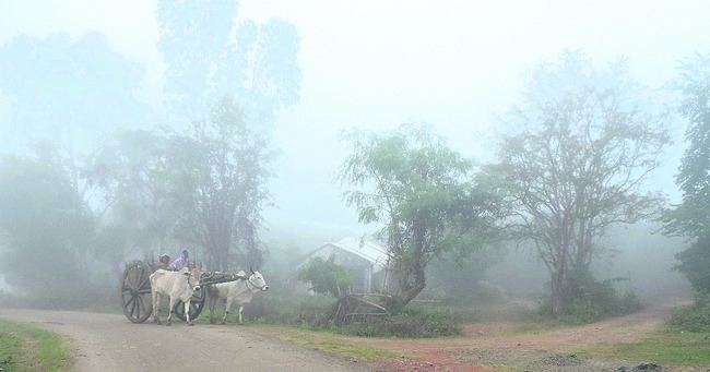 వణుకుతున్న అరకు1