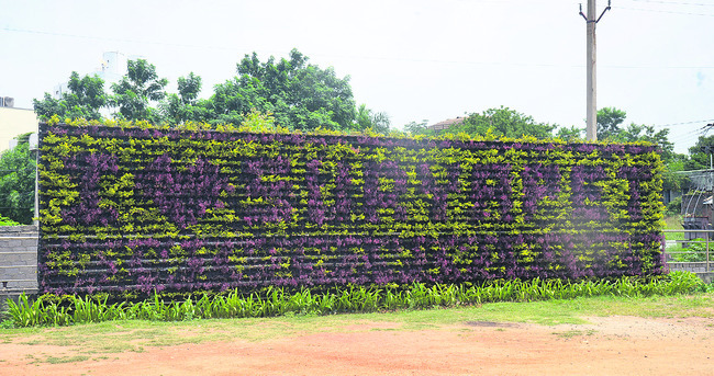 వర్టికల్‌ గార్డెన్‌ వెలవెల!1