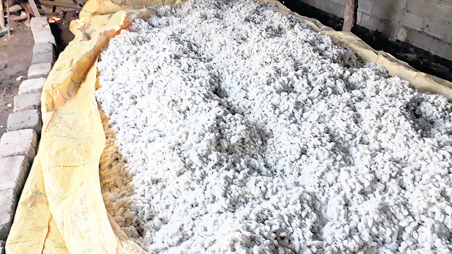 నిర్మల్‌2