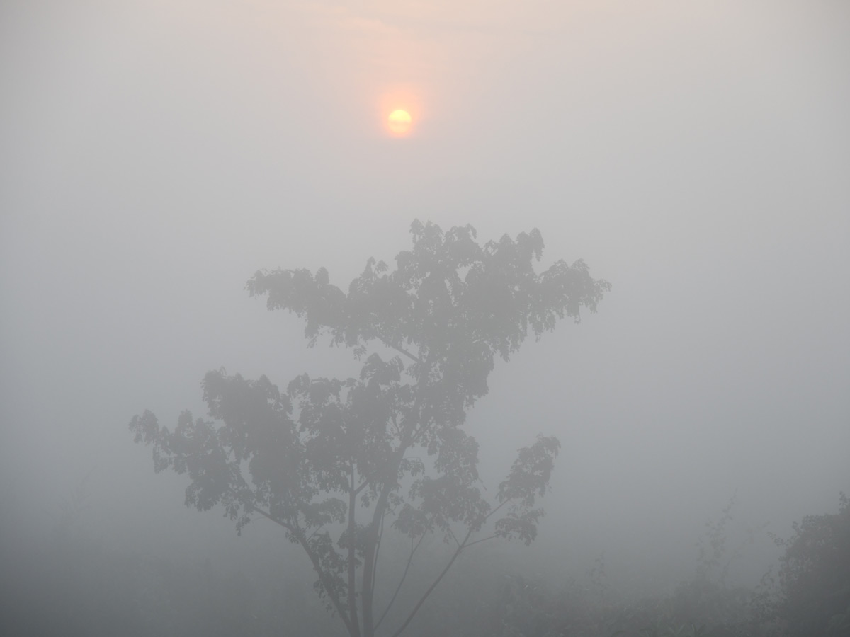 Best Photos of The Week in AP and Telangana Photo Gallery3