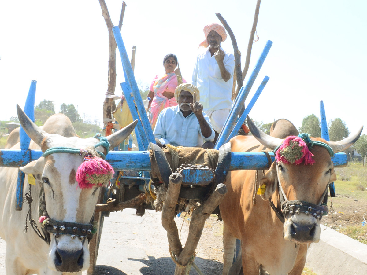 Best Photos of The Week in AP and Telangana Photo Gallery25