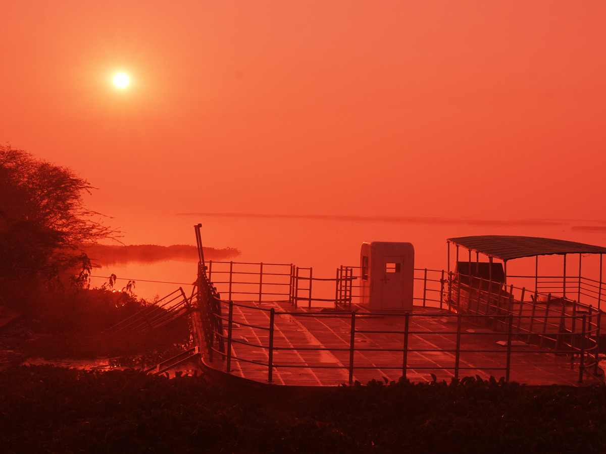 Best Photos of The Week in AP and Telangana Photo Gallery26