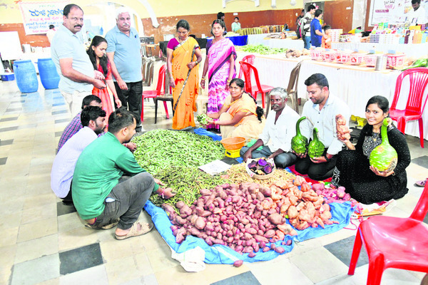అనప రుచుల సంభ్రమం1