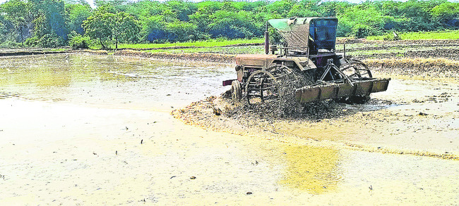 పుడమి తల్లికి పచ్చబొట్లు3