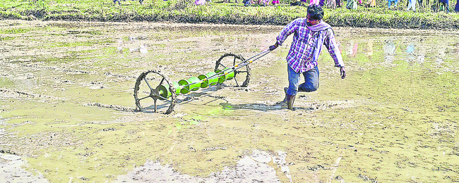 పుడమి తల్లికి పచ్చబొట్లు2