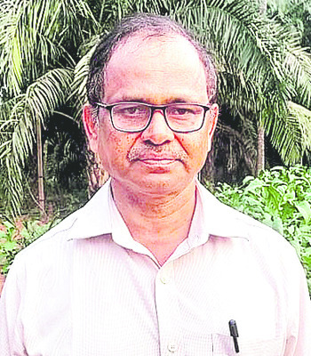 పుడమి తల్లికి పచ్చబొట్లు4