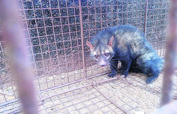 తుప్పు.. తుక్కు!8