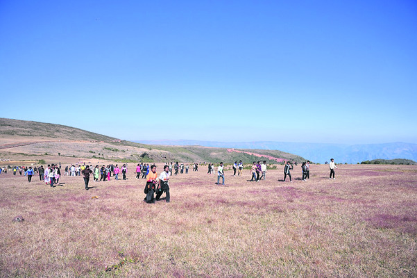 పరబ్‌–2025లో పర్వతారోహణ పోటీలు2