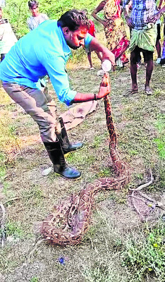 నేడు కలెక్టరేట్‌లో  ‘పరిష్కార వేదిక’ 1