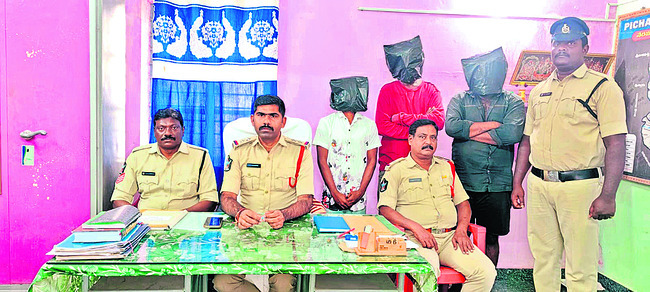 నాటు కోళ్లకు చికిత్స 2