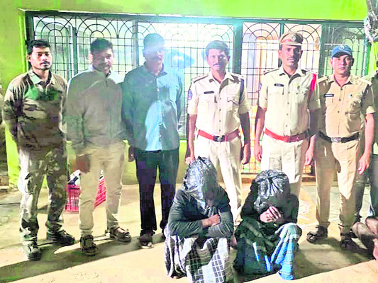 నాటు కోళ్లకు చికిత్స 1