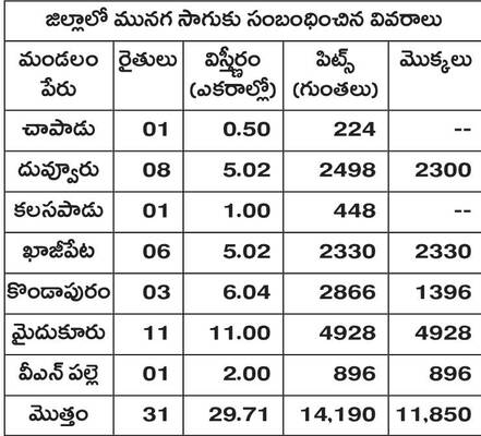 లాభాల మునగ.!1