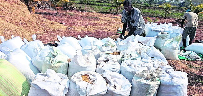 ధాన్యం రైతు గగ్గోలు 1