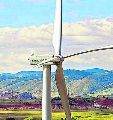 గాలిమరలు.. పక్షులకు మరణ శాసనాలు 1