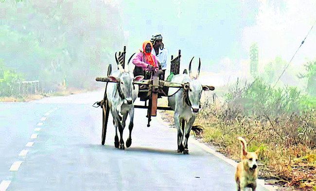 చలి ప్రతాపం.. జనం హాహాకారం1
