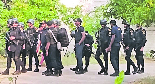 మిరపకాయల దొంగకు జైలు శిక్ష 1