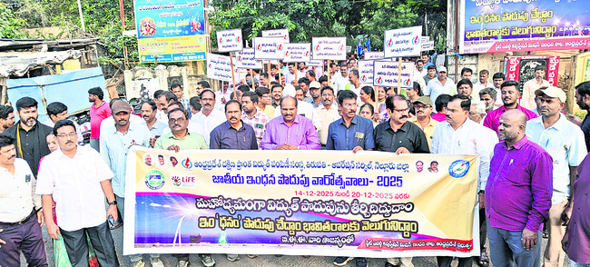 మాజీ ప్రధాని విగ్రహావిష్కరణ2