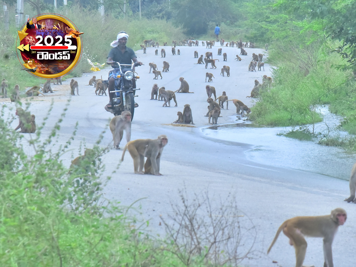 Sakshi Exclusive : 2025 Best Photos in Telugu States16