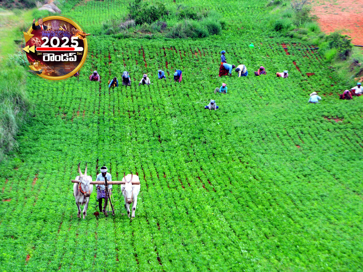 Sakshi Exclusive : 2025 Best Photos in Telugu States25