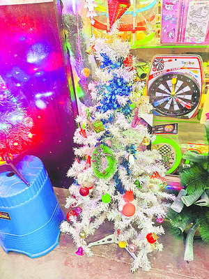 దైవ కుమారునికి స్వాగత సంరంభం2