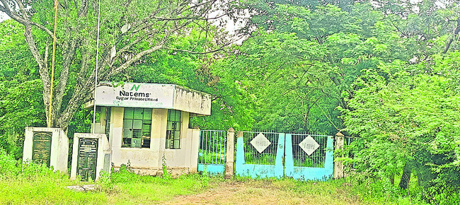 వెన్నుపోటు! 1