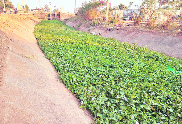 పనులు పూర్తయ్యేదెప్పుడో?1