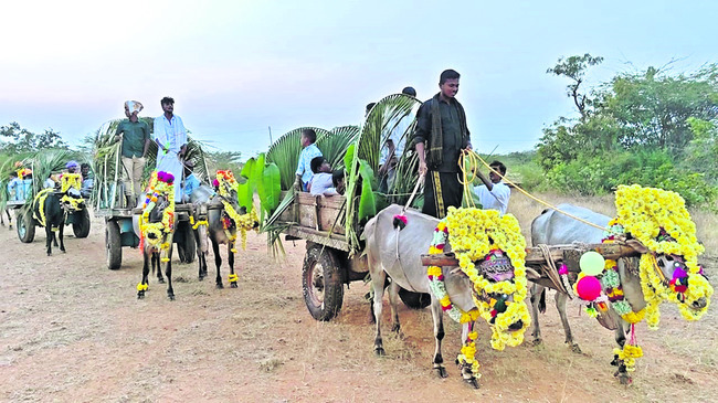 పల్స్‌ పోలియోను విజయవంతం చేయండి : డీఎంహెచ్‌ఓ 1