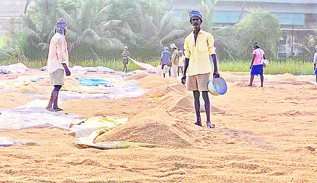 మద్దతుకు తేమ కోత1