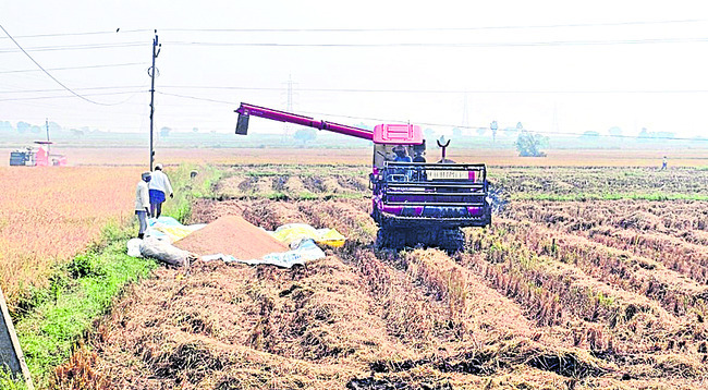 ధాన్యం కొనుగోడు2