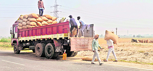ధాన్యం కొనుగోడు1
